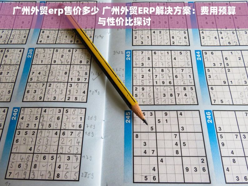 广州外贸erp售价多少 广州外贸ERP解决方案：费用预算与性价比探讨