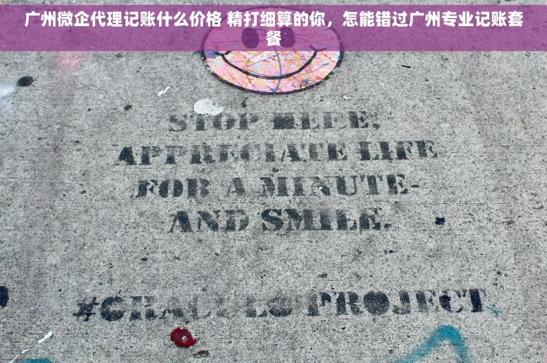 广州微企代理记账什么价格 精打细算的你，怎能错过广州专业记账套餐