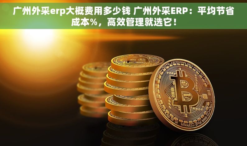 广州外采erp大概费用多少钱 广州外采ERP：平均节省成本%，高效管理就选它！