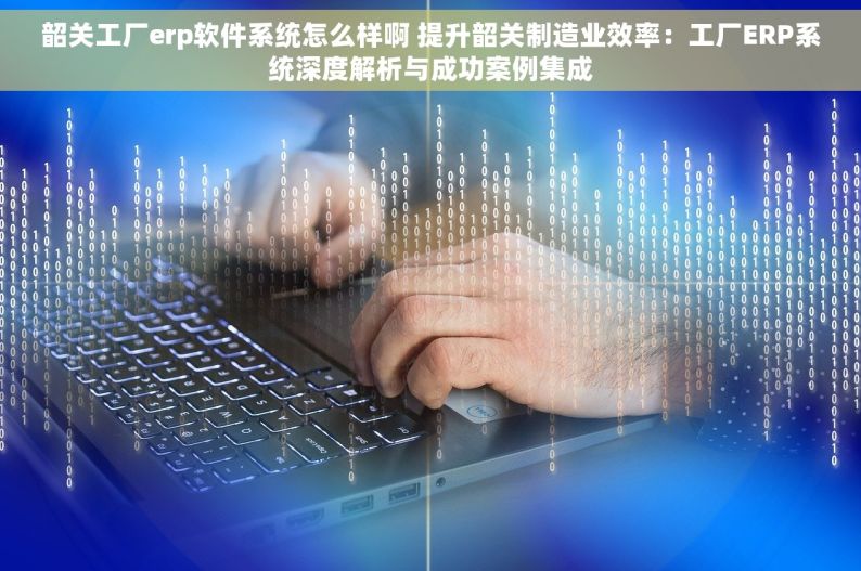 韶关工厂erp软件系统怎么样啊 提升韶关制造业效率：工厂ERP系统深度解析与成功案例集成