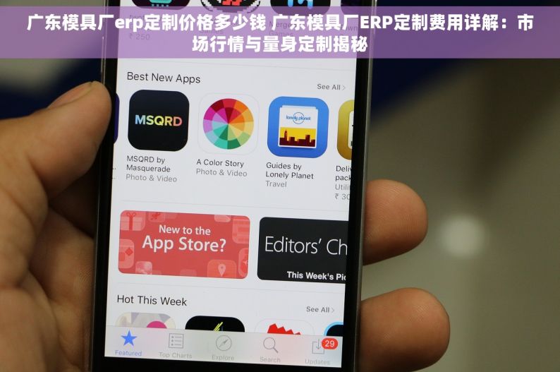 广东模具厂erp定制价格多少钱 广东模具厂ERP定制费用详解：市场行情与量身定制揭秘