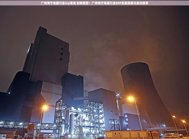 广州海宁电器行业erp系统 创新转型！广州海宁电器行业ERP实施策略与成功故事