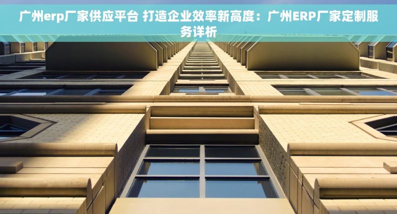 广州erp厂家供应平台 打造企业效率新高度：广州ERP厂家定制服务详析