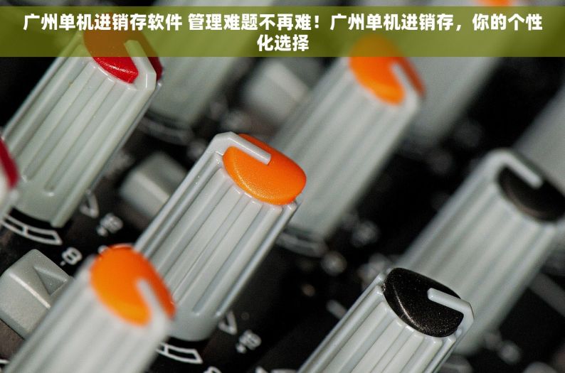 广州单机进销存软件 管理难题不再难！广州单机进销存，你的个性化选择