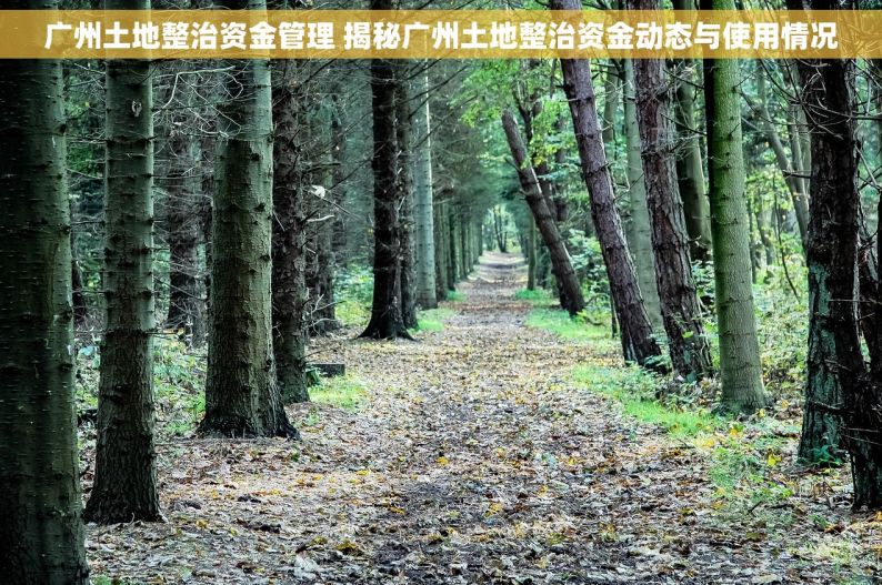 广州土地整治资金管理 揭秘广州土地整治资金动态与使用情况
