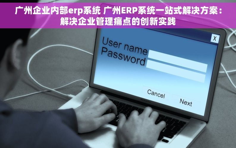 广州企业内部erp系统 广州ERP系统一站式解决方案：解决企业管理痛点的创新实践