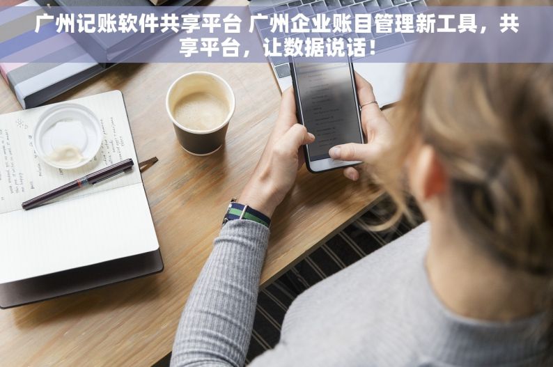 广州记账软件共享平台 广州企业账目管理新工具，共享平台，让数据说话！