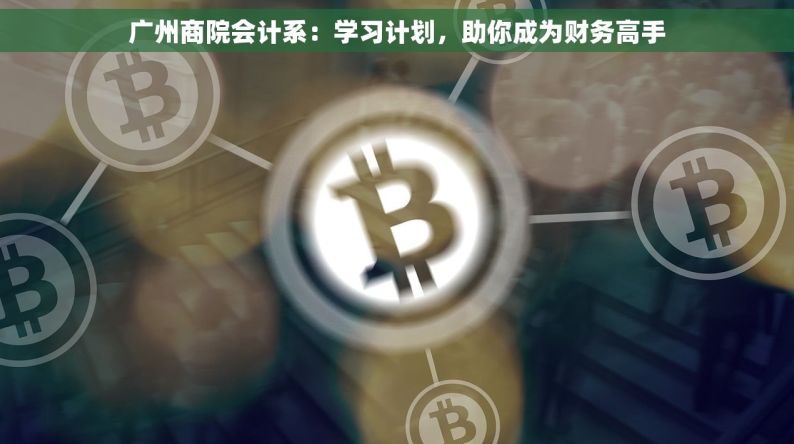 广州商院会计系：学习计划，助你成为财务高手