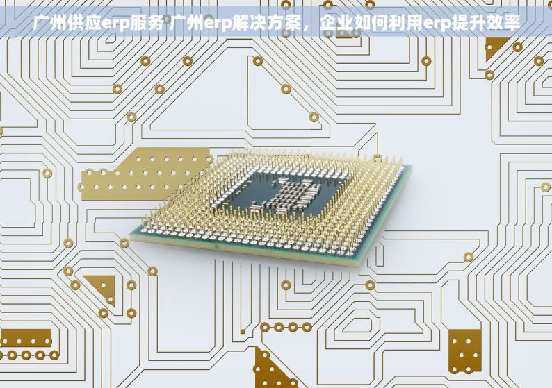 广州供应erp服务 广州erp解决方案，企业如何利用erp提升效率
