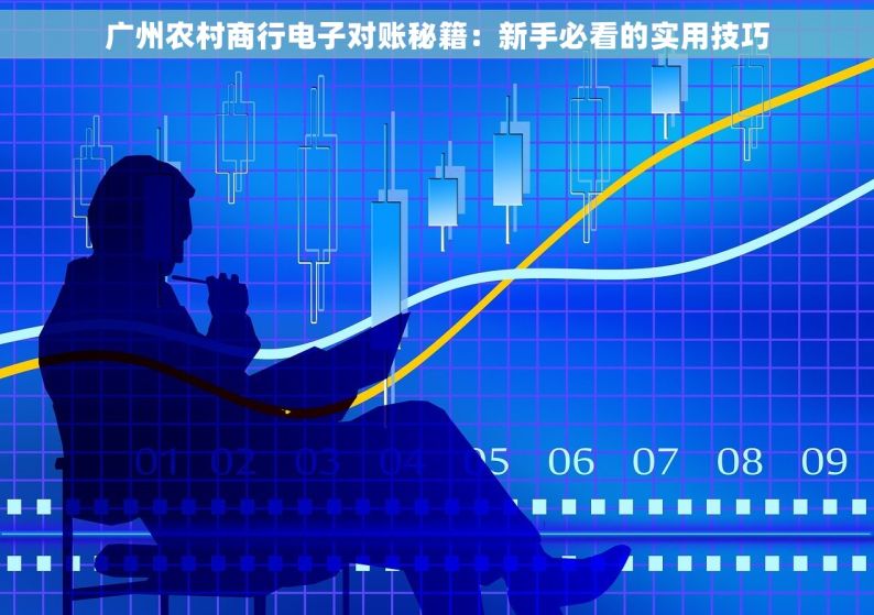 广州农村商行电子对账秘籍：新手必看的实用技巧