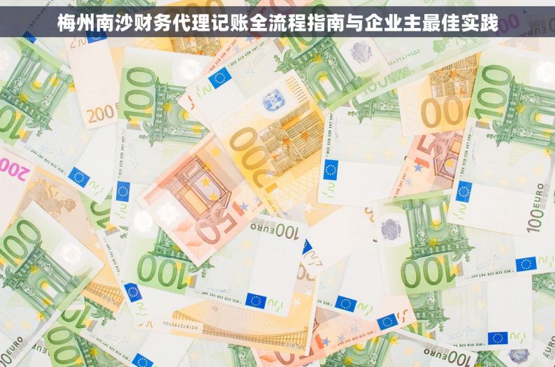 梅州南沙财务代理记账全流程指南与企业主最佳实践