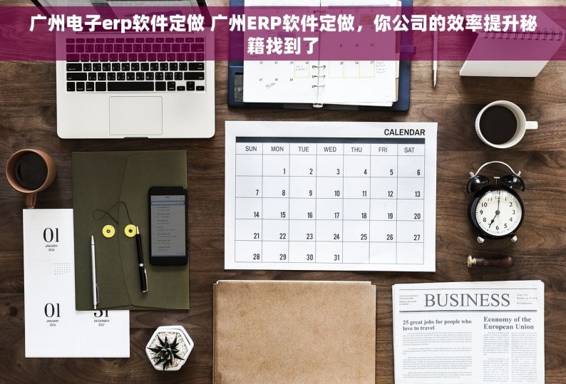 广州电子erp软件定做 广州ERP软件定做，你公司的效率提升秘籍找到了