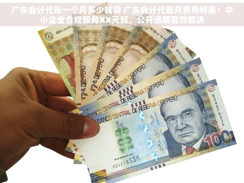 广东会计代账一个月多少钱啊 广东会计代账月费用特惠：中小企业合规服务XX元起，公开透明高效解决