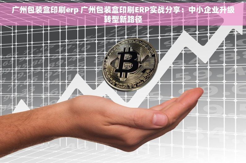 广州包装盒印刷erp 广州包装盒印刷ERP实战分享：中小企业升级转型新路径