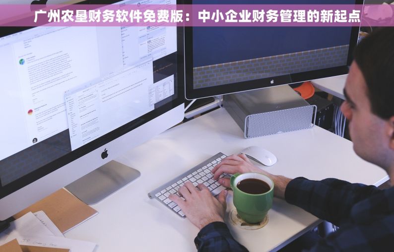 广州农垦财务软件免费版：中小企业财务管理的新起点