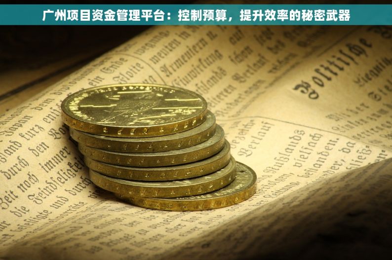 广州项目资金管理平台：控制预算，提升效率的秘密武器