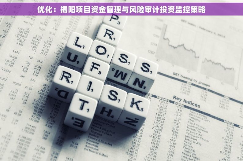 优化：揭阳项目资金管理与风险审计投资监控策略