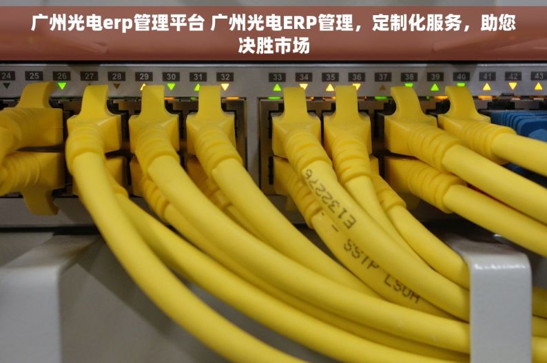 广州光电erp管理平台 广州光电ERP管理，定制化服务，助您决胜市场