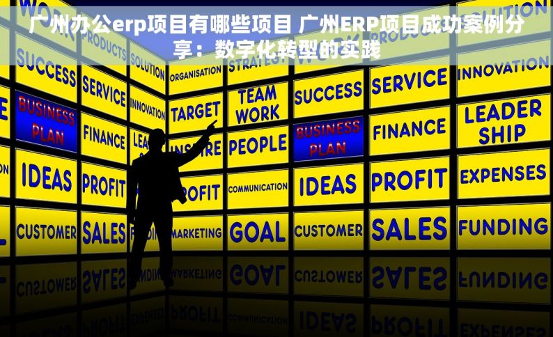 广州办公erp项目有哪些项目 广州ERP项目成功案例分享：数字化转型的实践