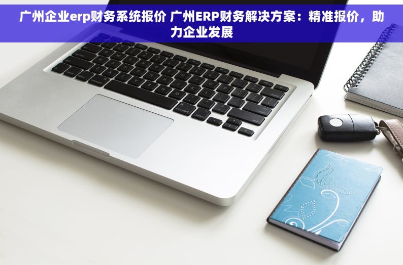 广州企业erp财务系统报价 广州ERP财务解决方案：精准报价，助力企业发展