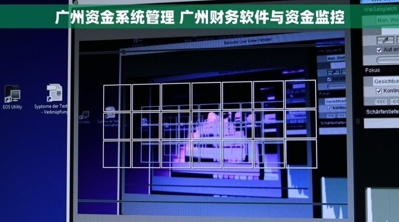 广州资金系统管理 广州财务软件与资金监控