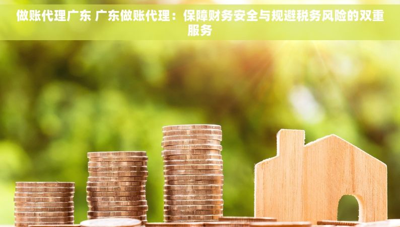 做账代理广东 广东做账代理：保障财务安全与规避税务风险的双重服务