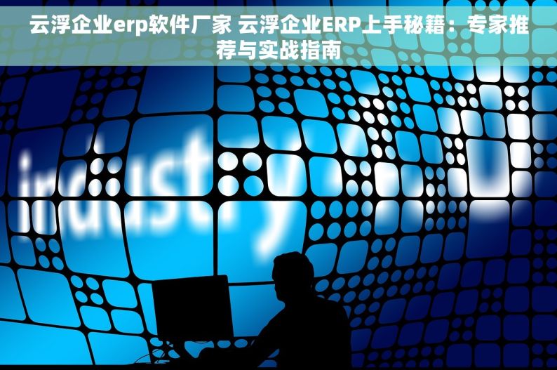云浮企业erp软件厂家 云浮企业ERP上手秘籍：专家推荐与实战指南