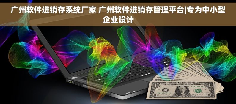 广州软件进销存系统厂家 广州软件进销存管理平台|专为中小型企业设计