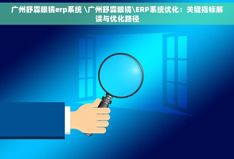 广州舒霖眼镜erp系统 \广州舒霖眼镜\ERP系统优化：关键指标解读与优化路径