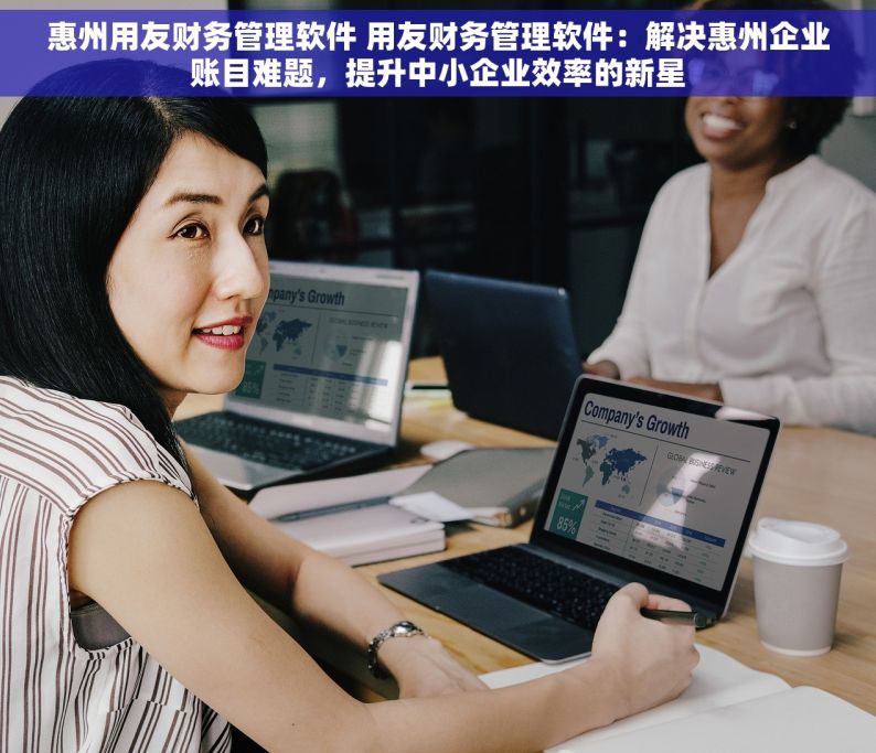 惠州用友财务管理软件 用友财务管理软件：解决惠州企业账目难题，提升中小企业效率的新星