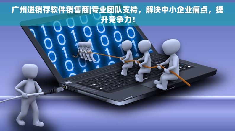 广州进销存软件销售商|专业团队支持，解决中小企业痛点，提升竞争力！