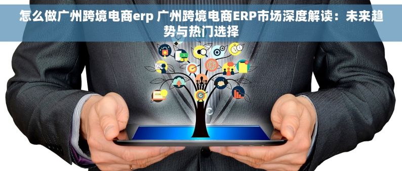 怎么做广州跨境电商erp 广州跨境电商ERP市场深度解读：未来趋势与热门选择