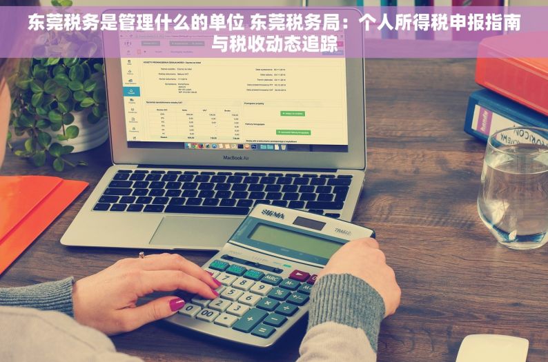东莞税务是管理什么的单位 东莞税务局：个人所得税申报指南与税收动态追踪