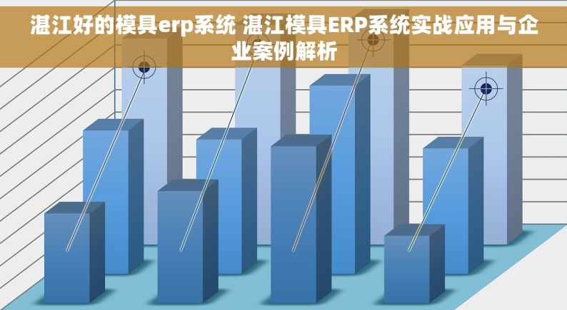 湛江好的模具erp系统 湛江模具ERP系统实战应用与企业案例解析
