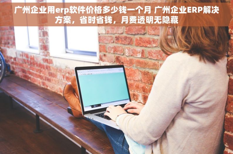 广州企业用erp软件价格多少钱一个月 广州企业ERP解决方案，省时省钱，月费透明无隐藏