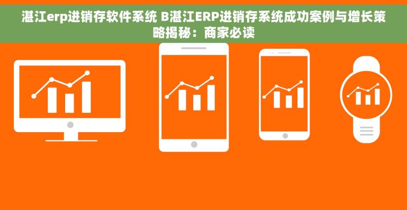 湛江erp进销存软件系统 B湛江ERP进销存系统成功案例与增长策略揭秘：商家必读