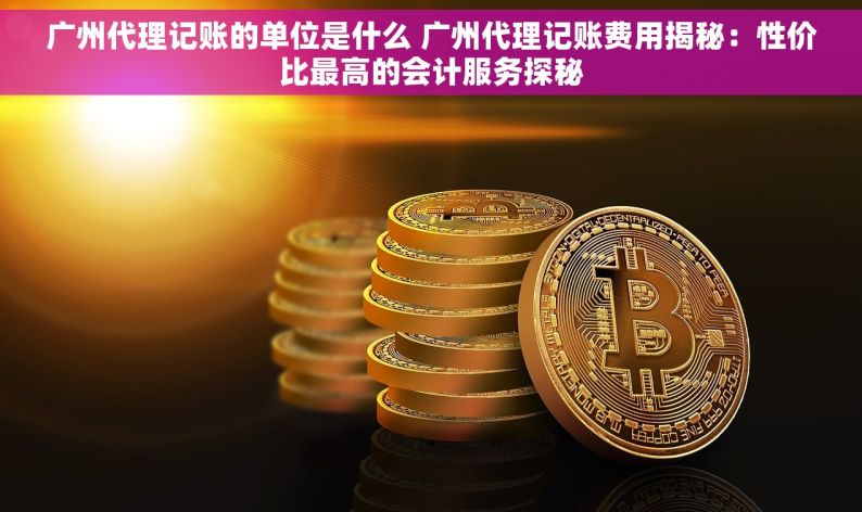 广州代理记账的单位是什么 广州代理记账费用揭秘：性价比最高的会计服务探秘