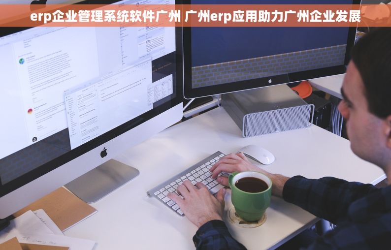 erp企业管理系统软件广州 广州erp应用助力广州企业发展