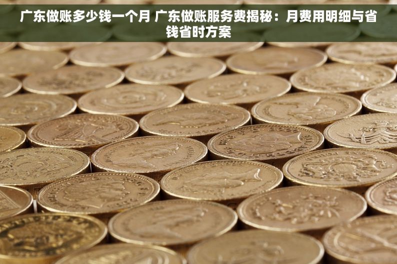 广东做账多少钱一个月 广东做账服务费揭秘：月费用明细与省钱省时方案