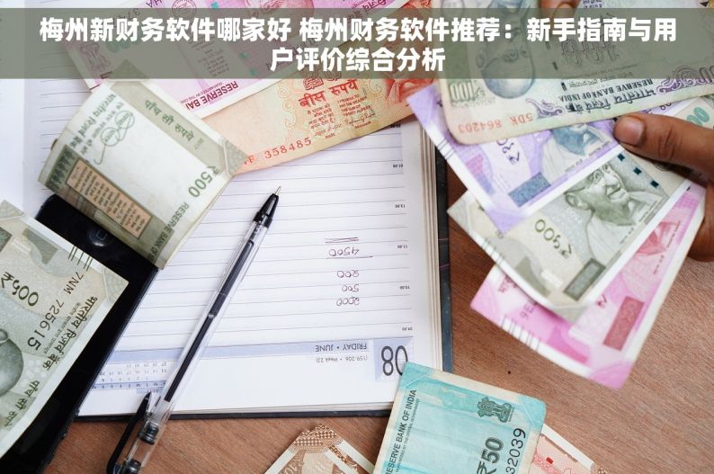 梅州新财务软件哪家好 梅州财务软件推荐：新手指南与用户评价综合分析