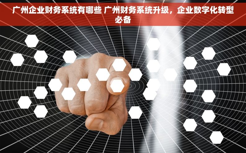 广州企业财务系统有哪些 广州财务系统升级，企业数字化转型必备
