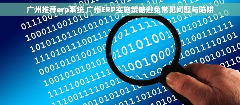 广州推荐erp系统 广州ERP实施策略避免常见问题与陷阱