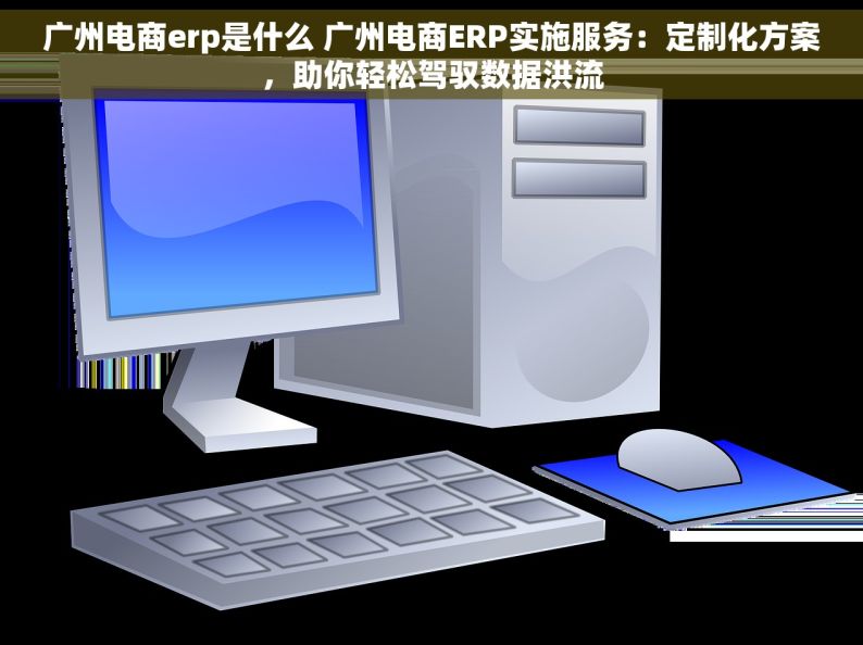 广州电商erp是什么 广州电商ERP实施服务：定制化方案，助你轻松驾驭数据洪流