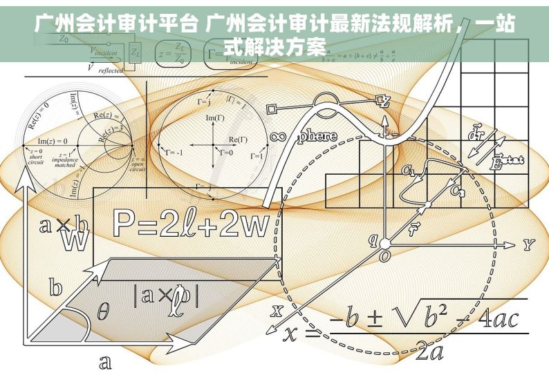 广州会计审计平台 广州会计审计最新法规解析，一站式解决方案