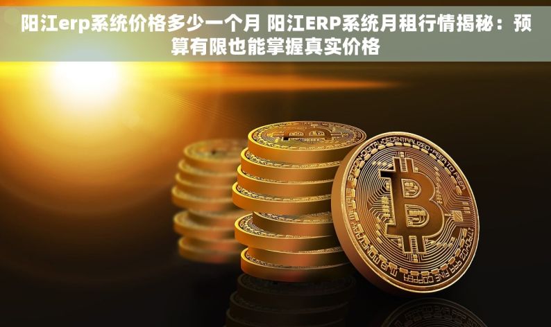 阳江erp系统价格多少一个月 阳江ERP系统月租行情揭秘：预算有限也能掌握真实价格