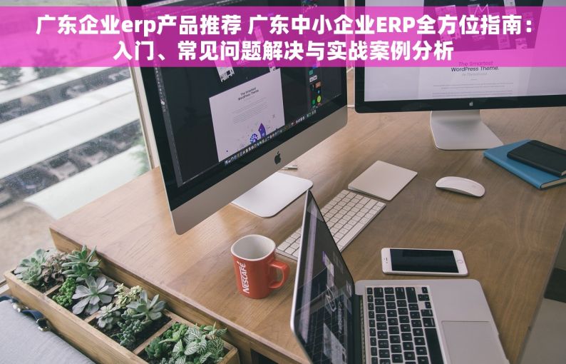 广东企业erp产品推荐 广东中小企业ERP全方位指南：入门、常见问题解决与实战案例分析