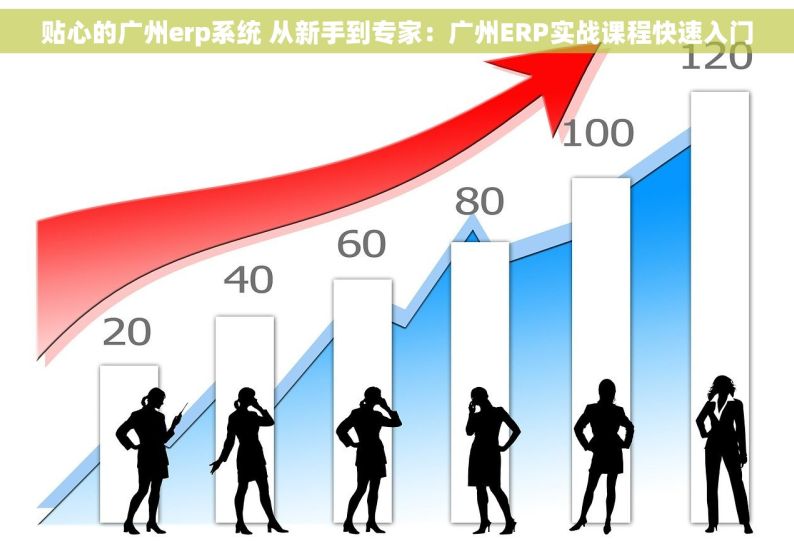 贴心的广州erp系统 从新手到专家：广州ERP实战课程快速入门