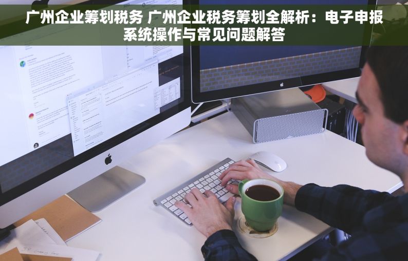 广州企业筹划税务 广州企业税务筹划全解析：电子申报系统操作与常见问题解答