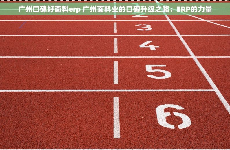 广州口碑好面料erp 广州面料业的口碑升级之路：ERP的力量