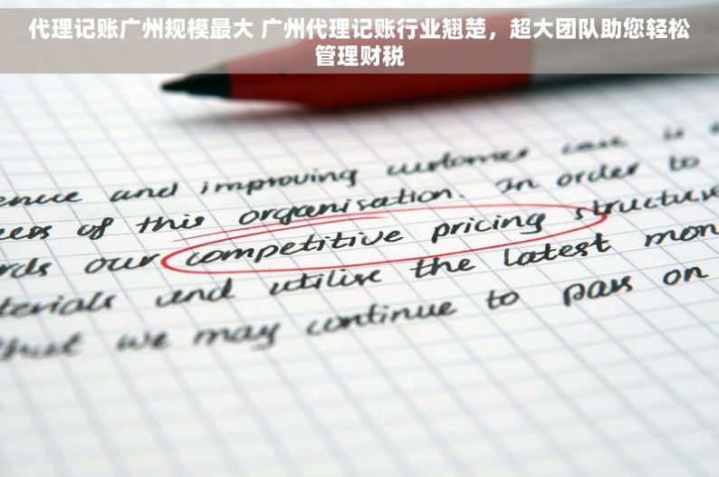 代理记账广州规模最大 广州代理记账行业翘楚，超大团队助您轻松管理财税